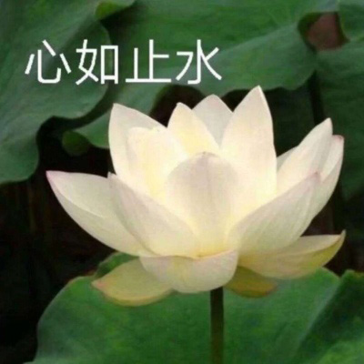 最美妈妈头像图片大全(精选14张)