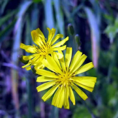 妈妈最喜欢的头像图片(精选16张)