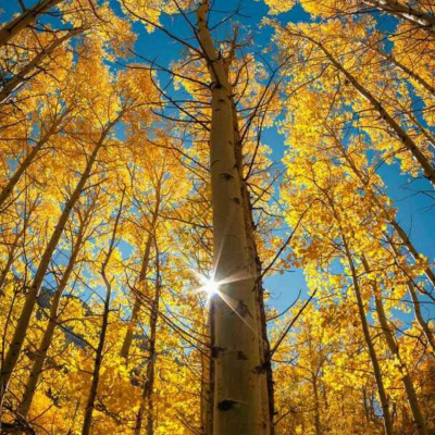 妈妈最喜欢的头像图片(精选16张)