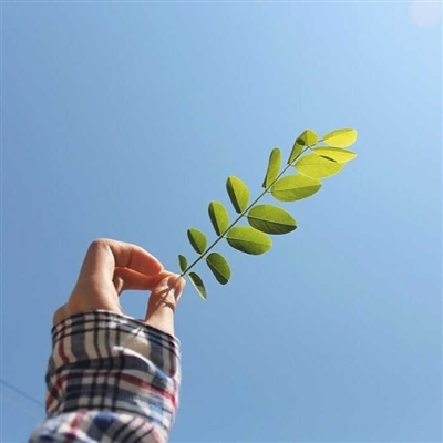 好看的头像图片幼稚(精选16张)