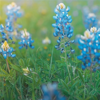 独一无二高清微信头像(精选18张)