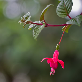 独一无二高清微信头像(精选18张)