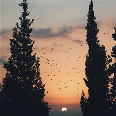 世界上最美的头像风景(精选18张)