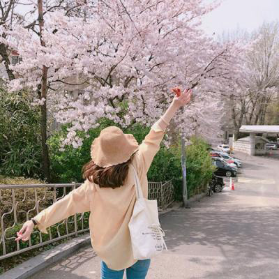 最漂亮的美女头像背景图片(16张)