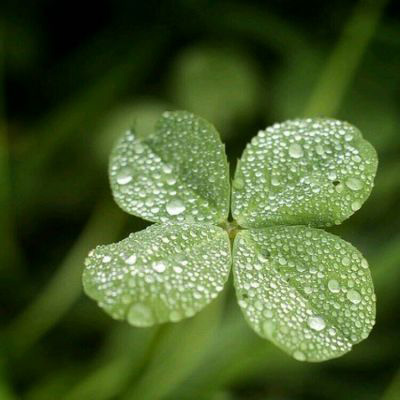 好看又耐看的头像图片(16张)