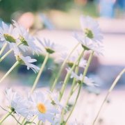 好看又耐看的头像图片(16张)