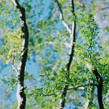 好看又耐看的头像图片(16张)