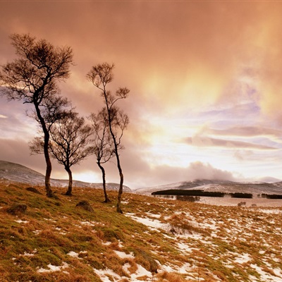 最美的风景头像图片精选(16张)