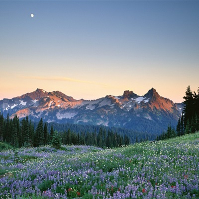 最美的风景头像图片精选(16张)