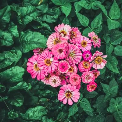 唯美风景头像图片大全高清(精选27张)