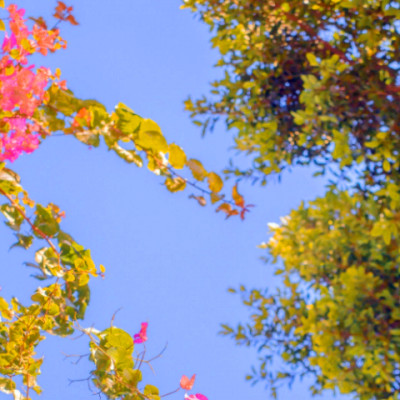 唯美风景头像图片大全高清(精选27张)