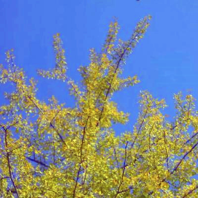 唯美风景头像图片大全高清(精选27张)