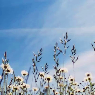 唯美风景头像图片大全高清(精选27张)