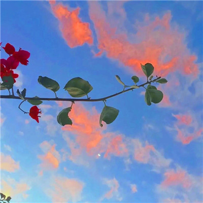 唯美风景头像图片大全高清(精选27张)