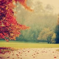 唯美风景头像图片大全高清(精选27张)