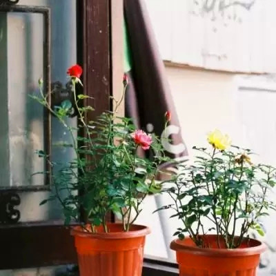 唯美风景头像图片大全高清(精选27张)