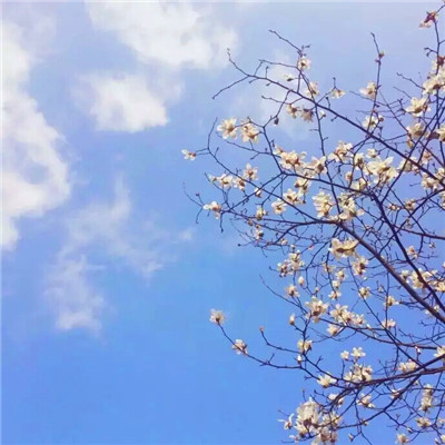 唯美风景头像图片大全高清(精选27张)