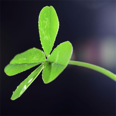 女人最好看招财转运头像(精选24张)