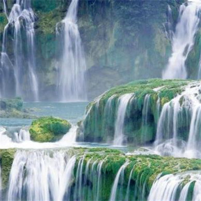 2023转运的微信头像花草(精选24张)