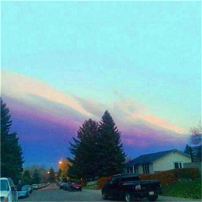 2023转运的微信头像花草(精选24张)