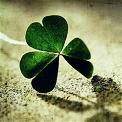 2023转运的微信头像四叶草(14张)