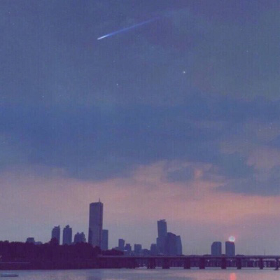 微信头像最好看的花各种各样(26张)