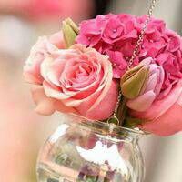 微信头像最好看的花各种各样(26张)