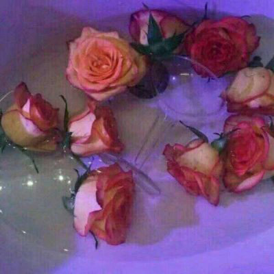 微信头像最好看的玫瑰花(22张)