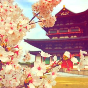 大气高雅的微信头像(精选16张)