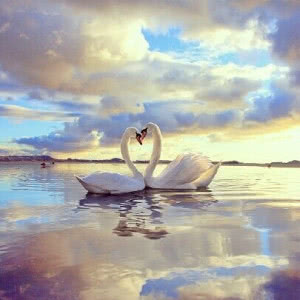 大气高雅的微信头像(精选16张)