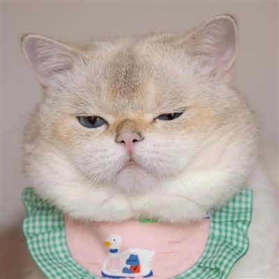 可爱又甜蜜动漫情侣头像(精选80张)