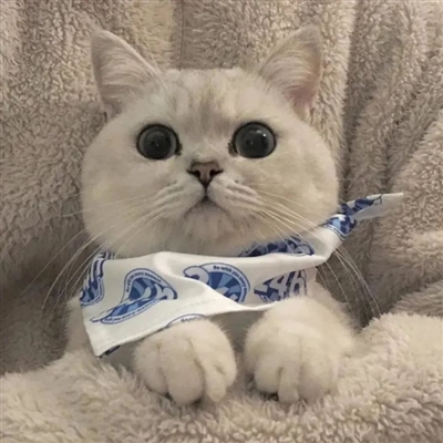 可爱又甜蜜动漫情侣头像(精选80张)