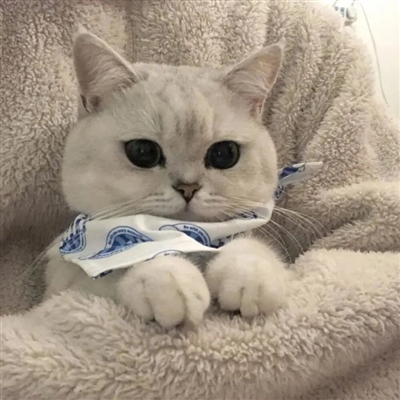 可爱又甜蜜动漫情侣头像(精选80张)