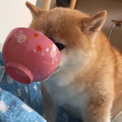 2023最火搞笑头像图片(精选16张)