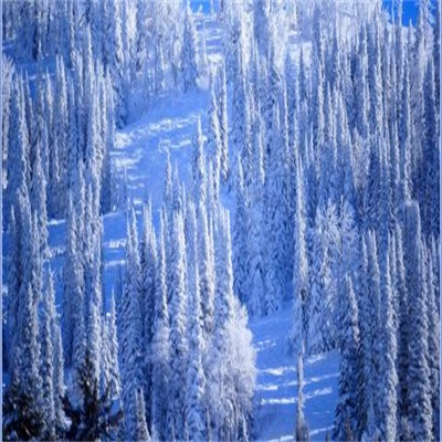 2023年最火微信头像雪景(12张)