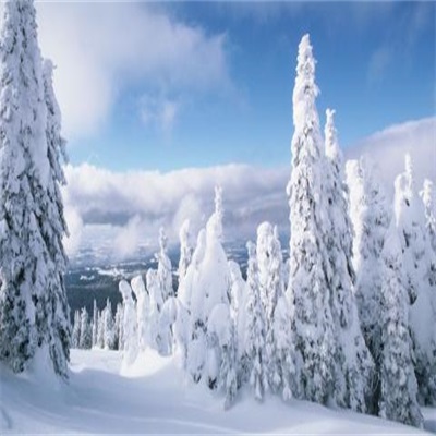 2023年最火微信头像雪景(12张)