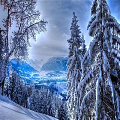 2023年最火微信头像雪景(12张)