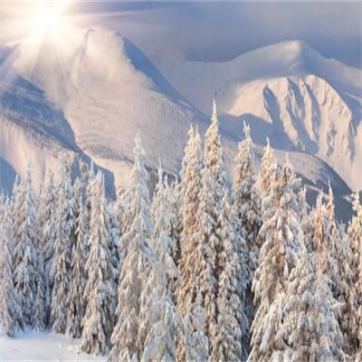 2023年最火微信头像雪景(12张)