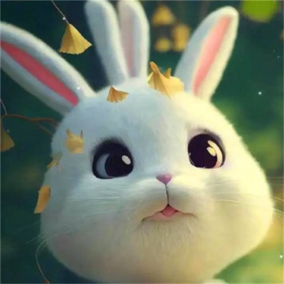 2023年最萌的微信头像(精选24张)