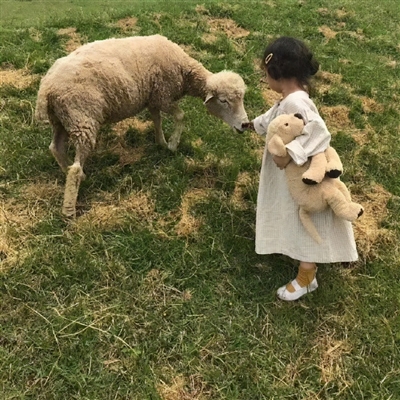 2023最流行小羊头像(28张)