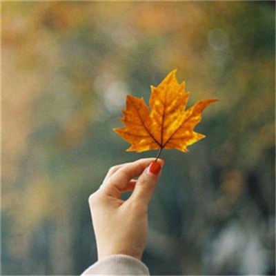 微信头像简约风格(精选16张)