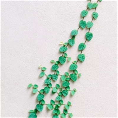 微信头像简约风格(精选16张)