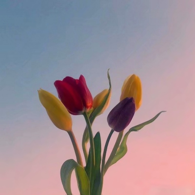 好看的风景头像图片(22张)