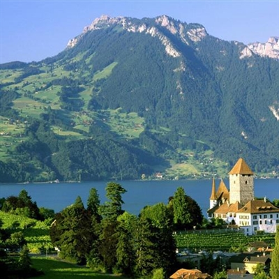 自然随性一点的头像(精选24张)