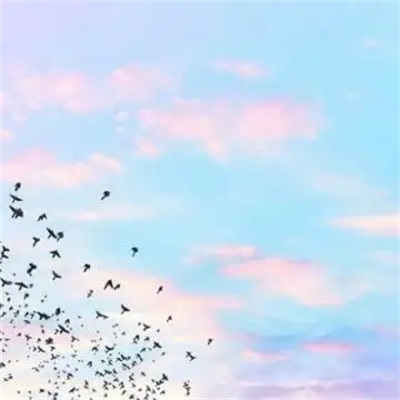 微信最吉利的好看头像图片(16张)