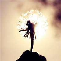 有品位的微信头像阳光(精选18张)