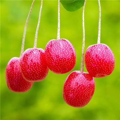 有品位的微信头像阳光(精选18张)