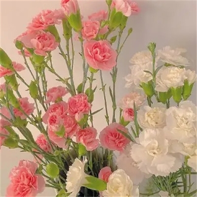 有品位的微信头像阳光(精选18张)