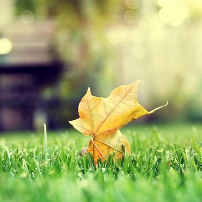 有品位的微信头像阳光(精选18张)