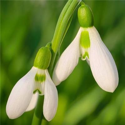 有品位的微信头像阳光(精选18张)